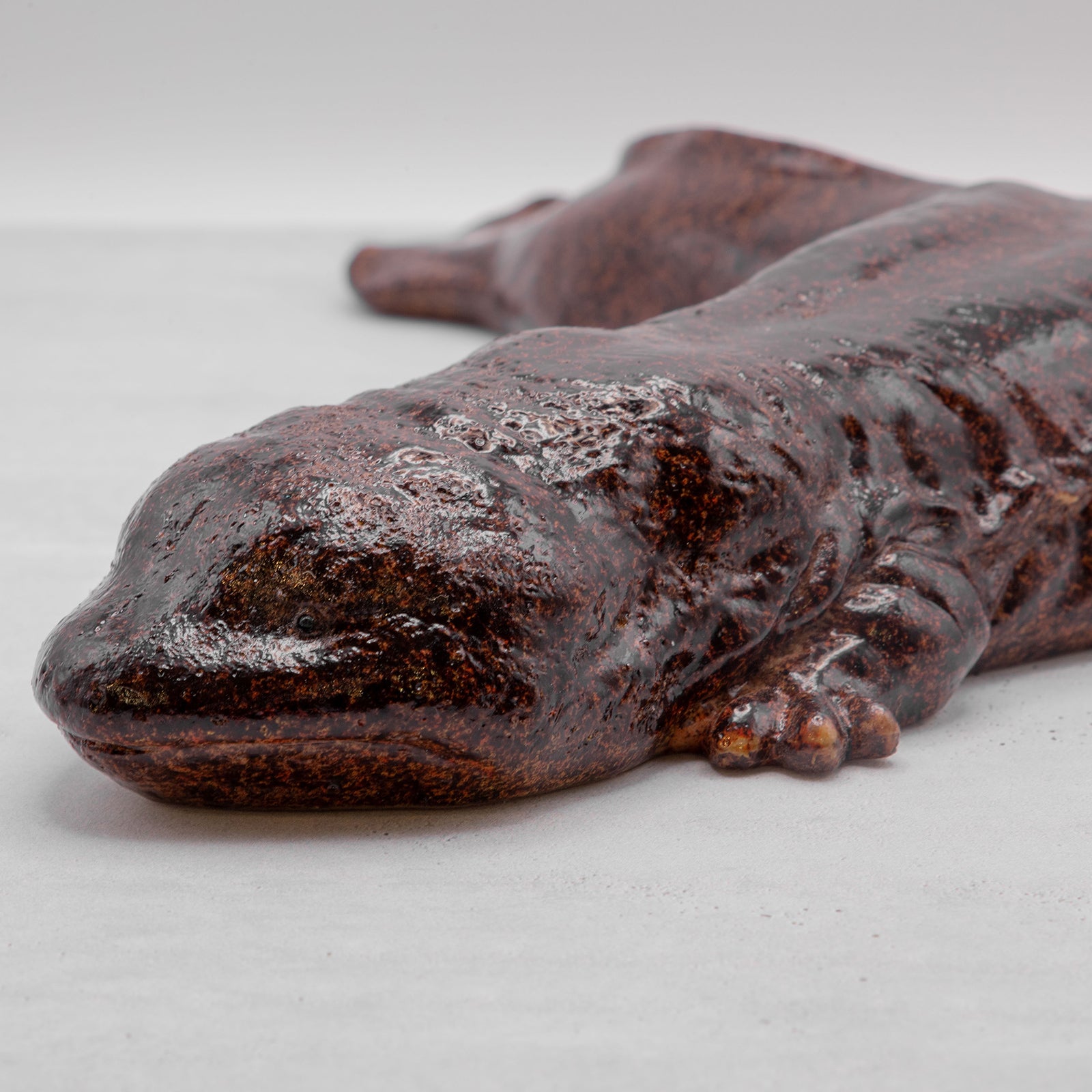 magnet / マグネット 貯金箱 オオサンショウウオ – ニコノマニマニ雑貨