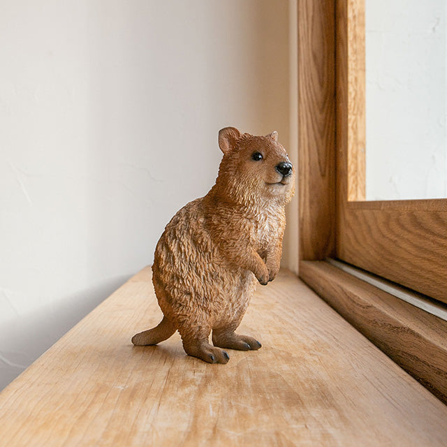 magnet / マグネット　貯金箱 クアッカ