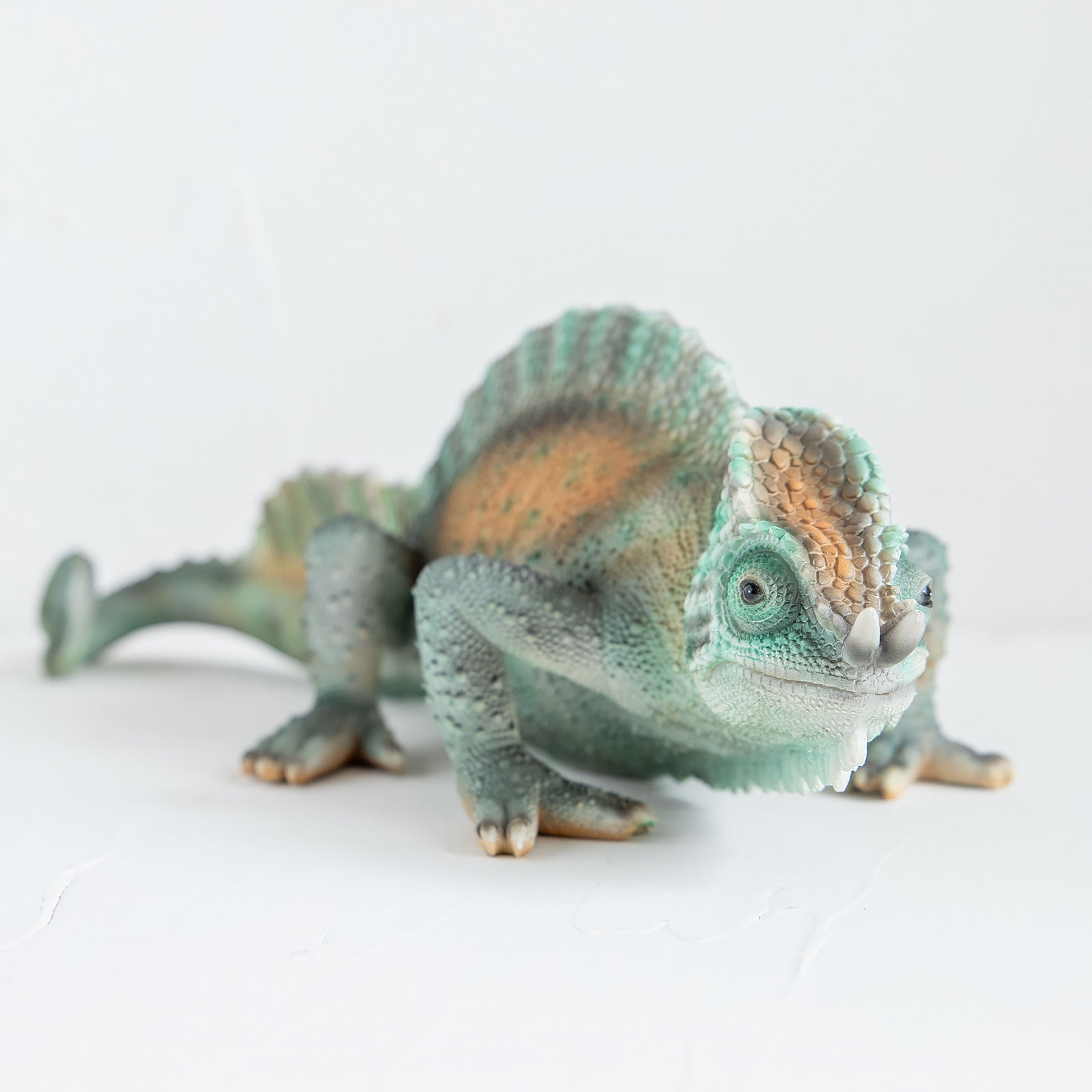 magnet / マグネット　貯金箱 パーソンカメレオン