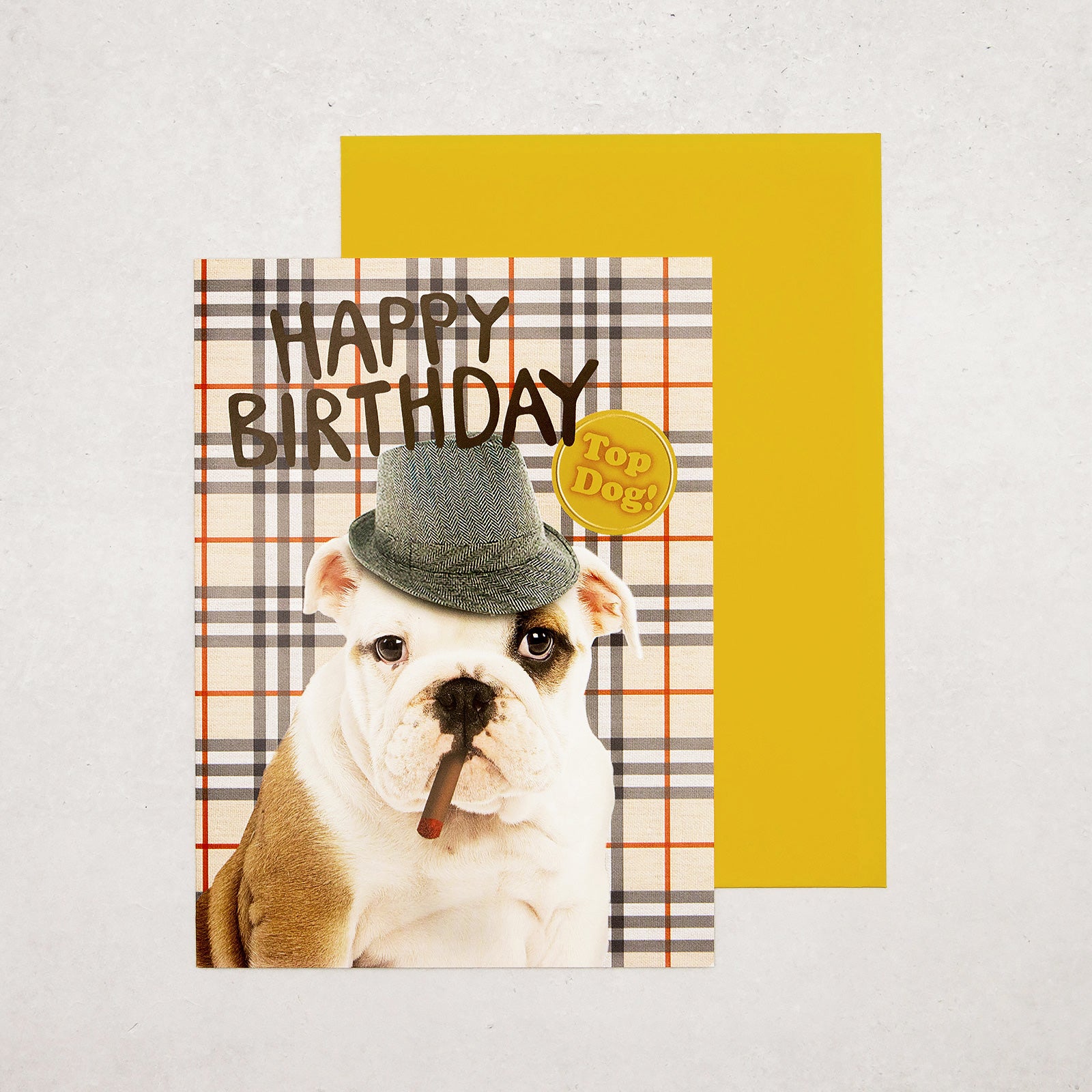 フランス　グリーティングカード　帽子イヌ　Happy Birthday