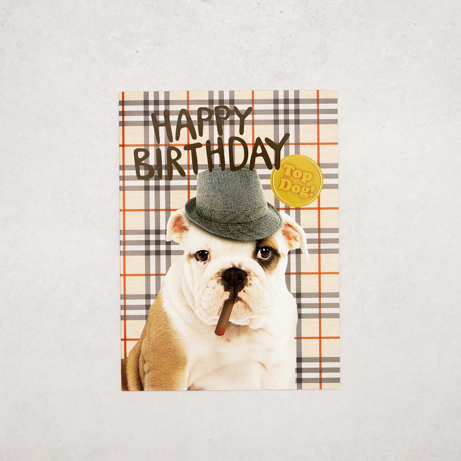 フランス　グリーティングカード　帽子イヌ　Happy Birthday
