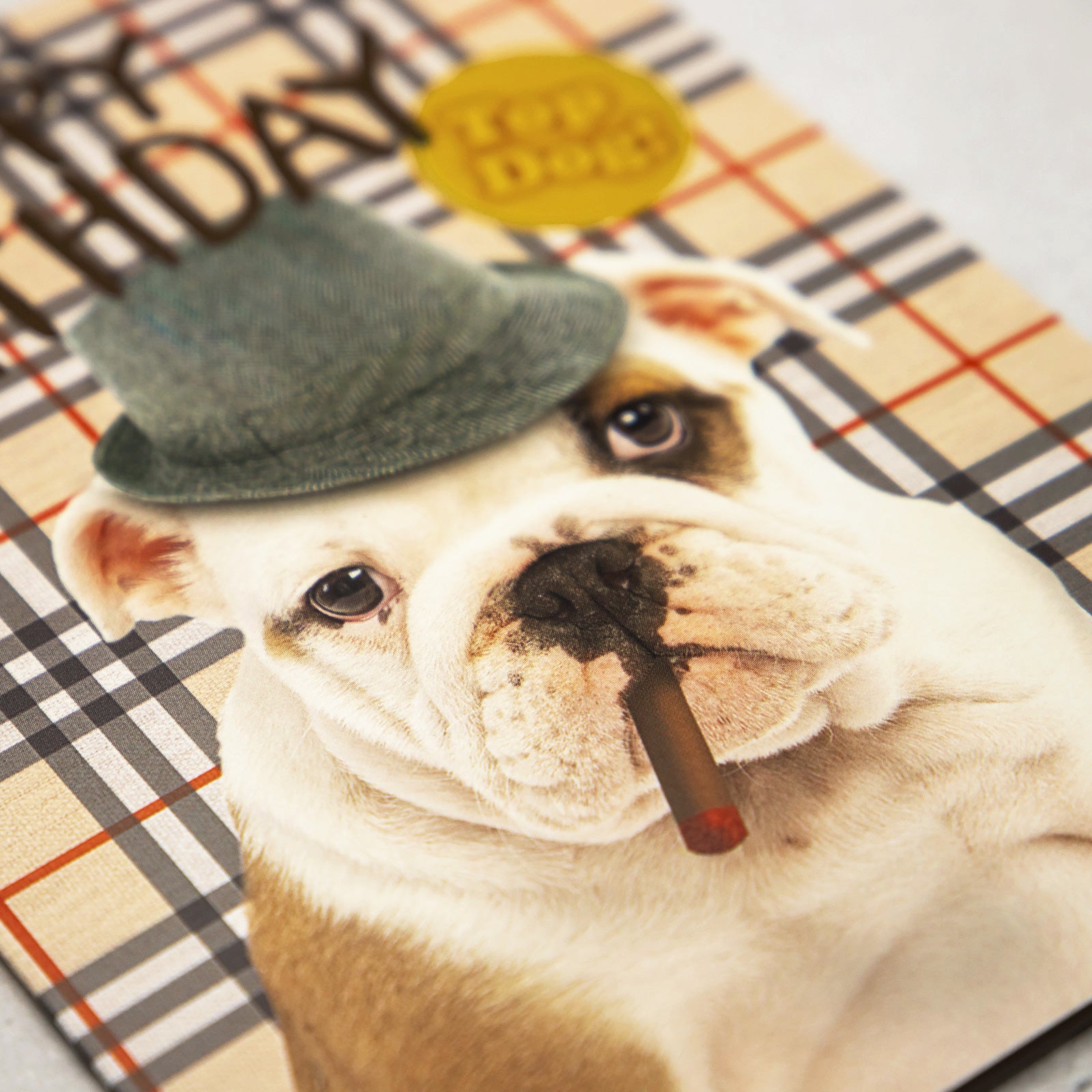 フランス　グリーティングカード　帽子イヌ　Happy Birthday