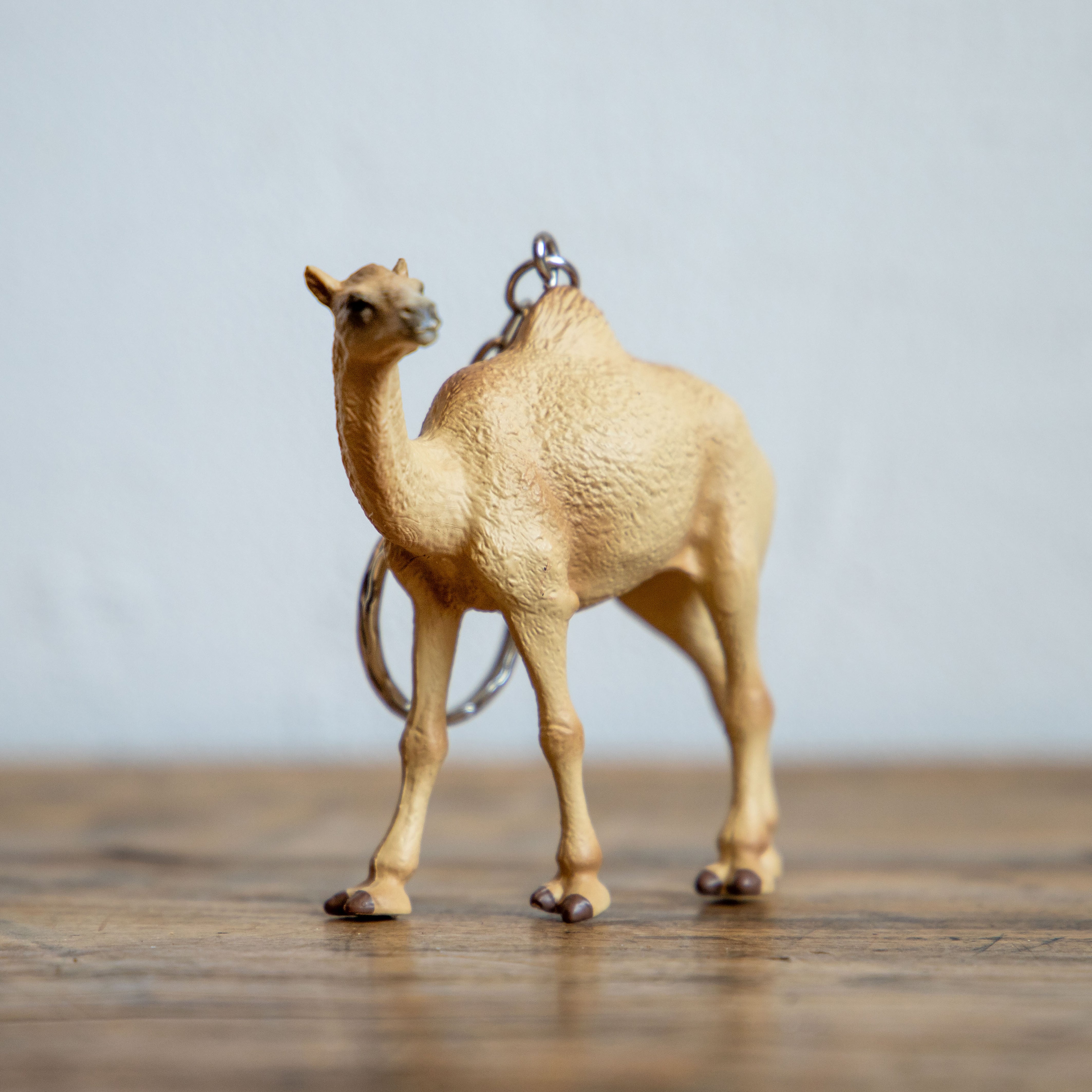 DETAIL/ディテール　アニマルキーリング  ラクダ
