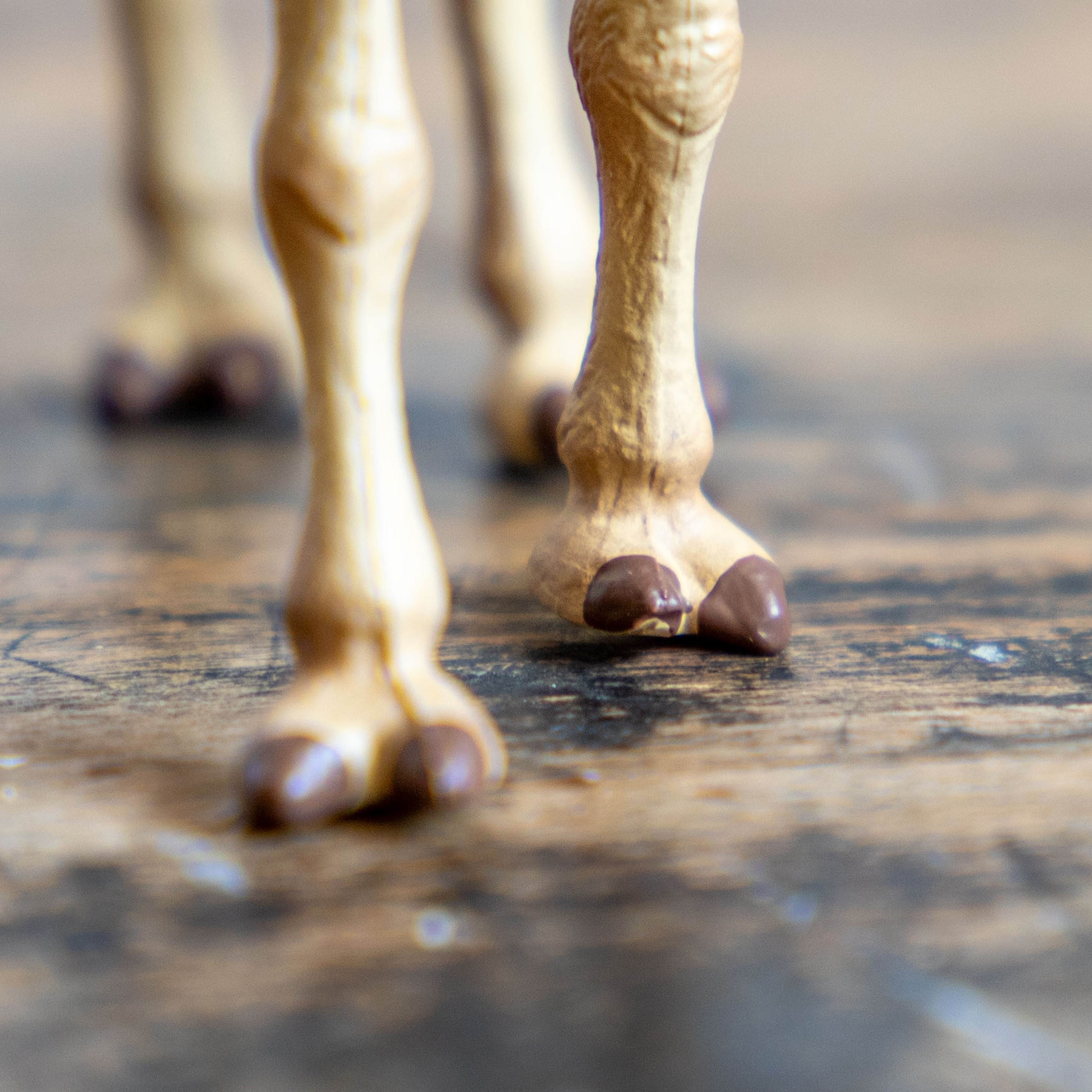 DETAIL/ディテール　アニマルキーリング  ラクダ