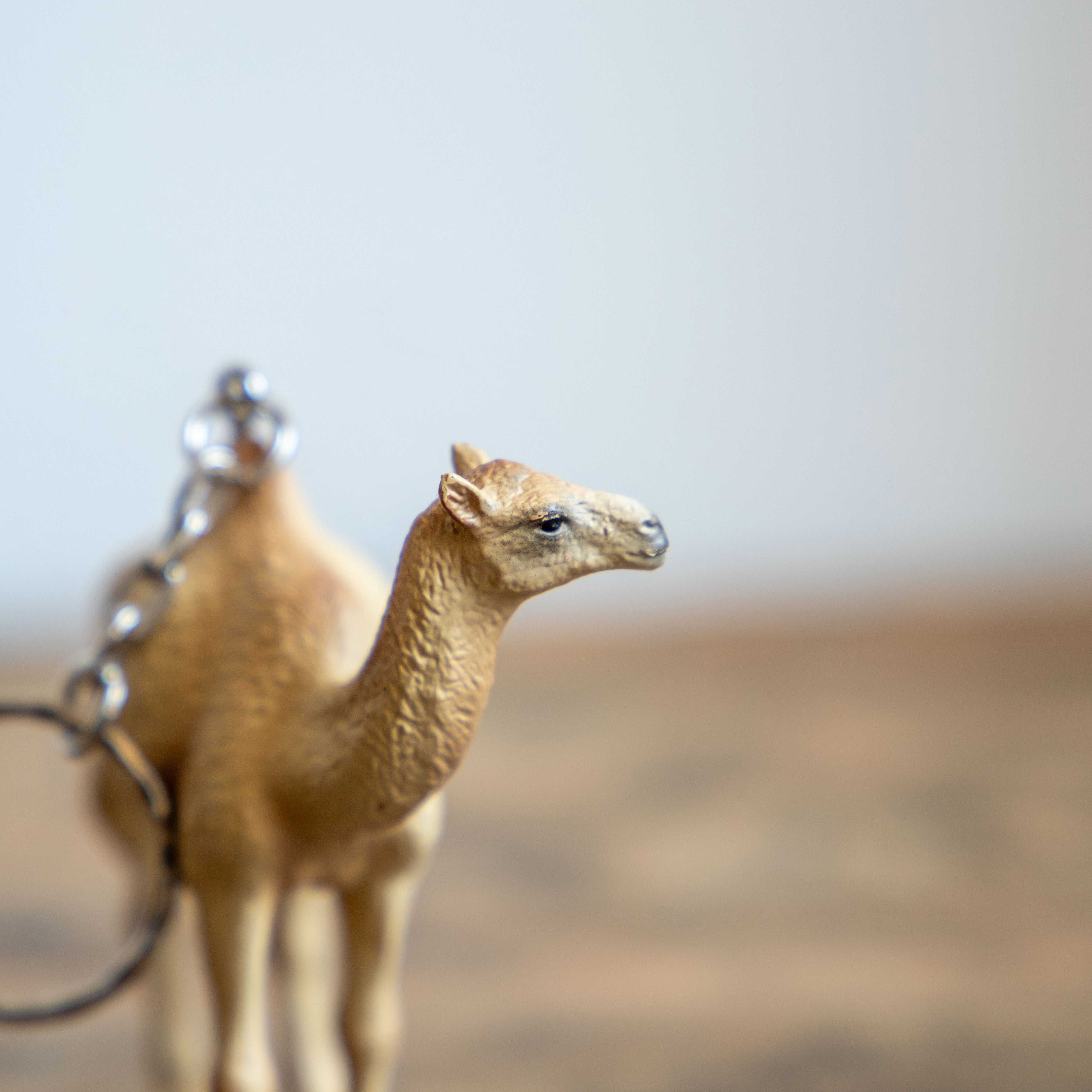 DETAIL/ディテール　アニマルキーリング  ラクダ