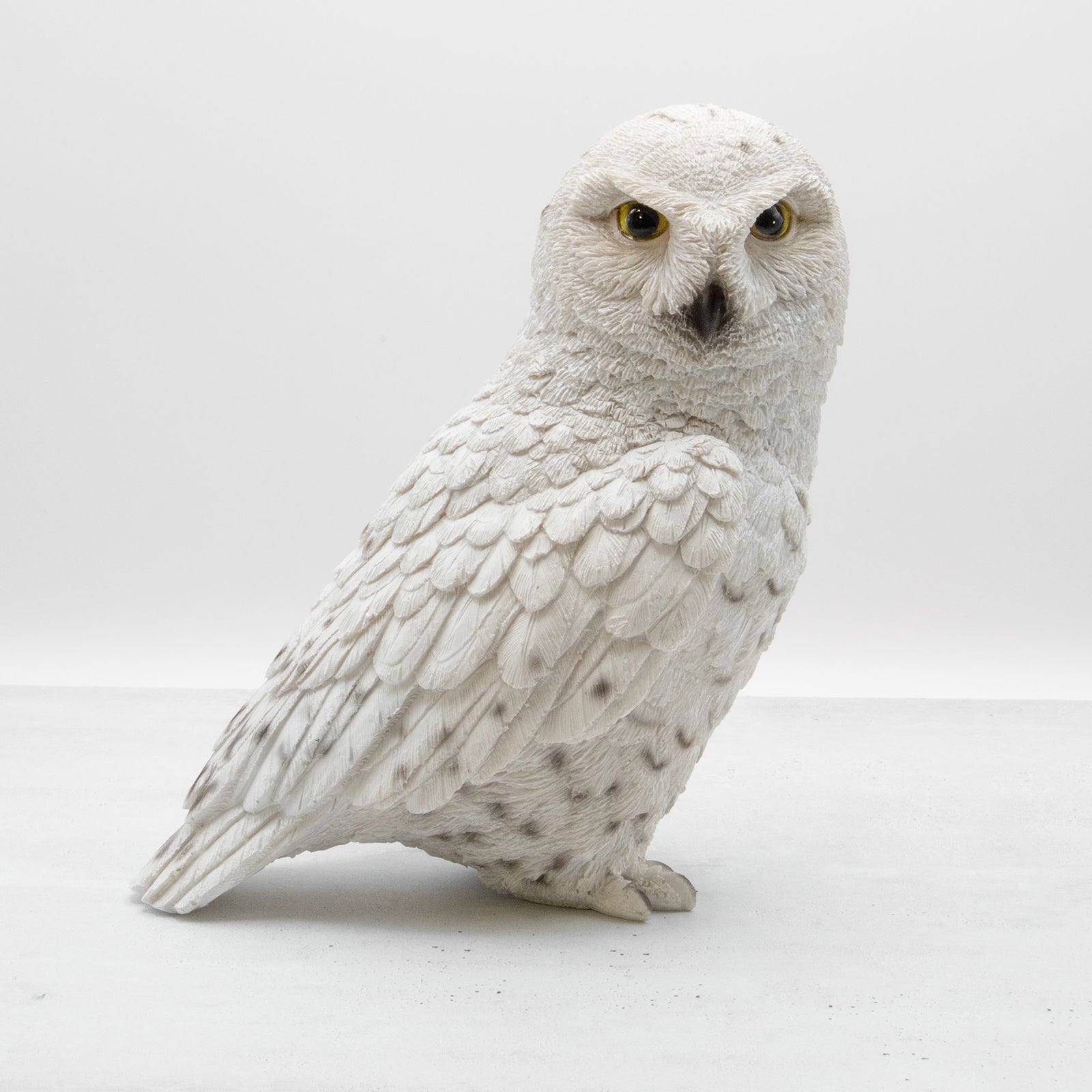 magnet / マグネット　貯金箱 シロフクロウ