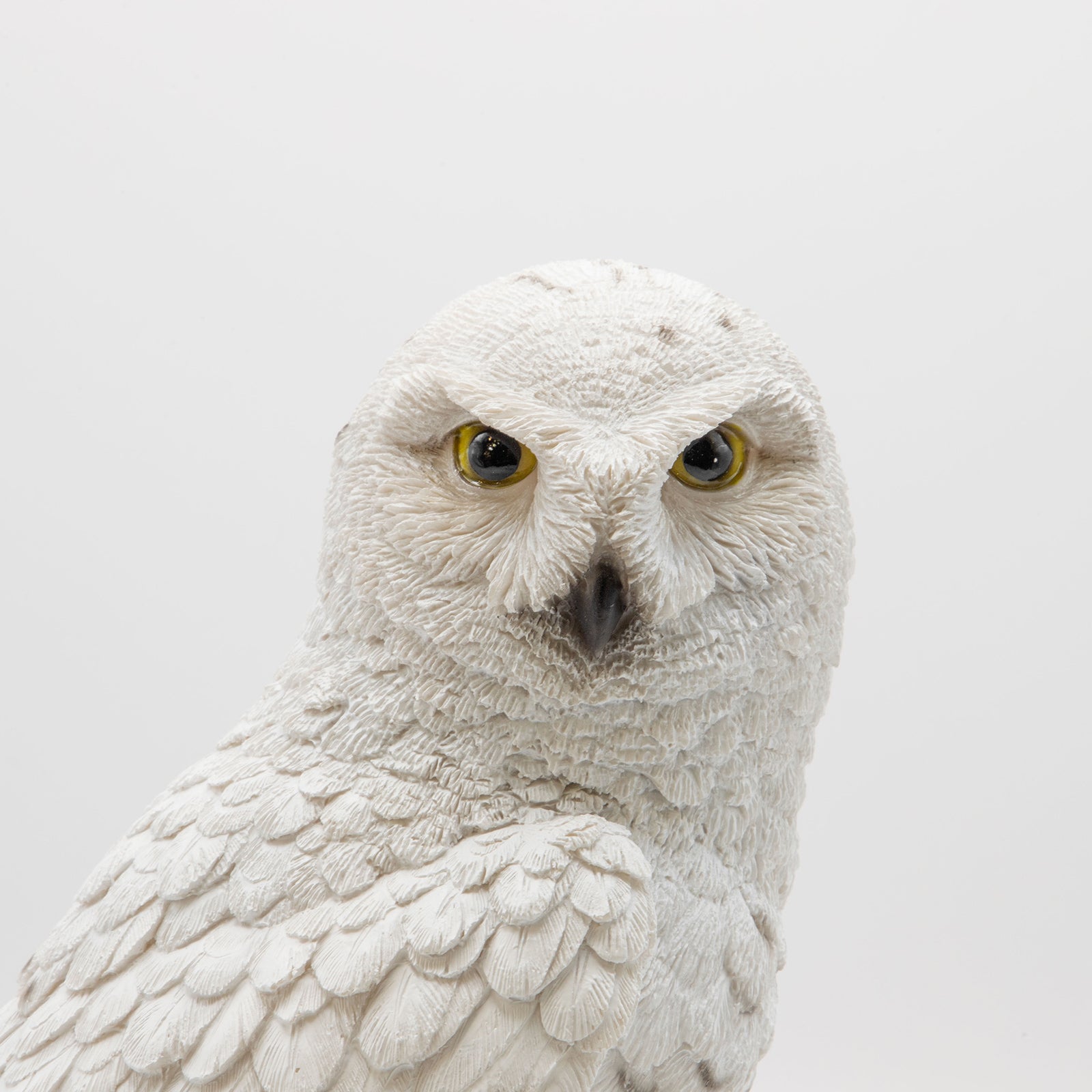 magnet / マグネット　貯金箱 シロフクロウ