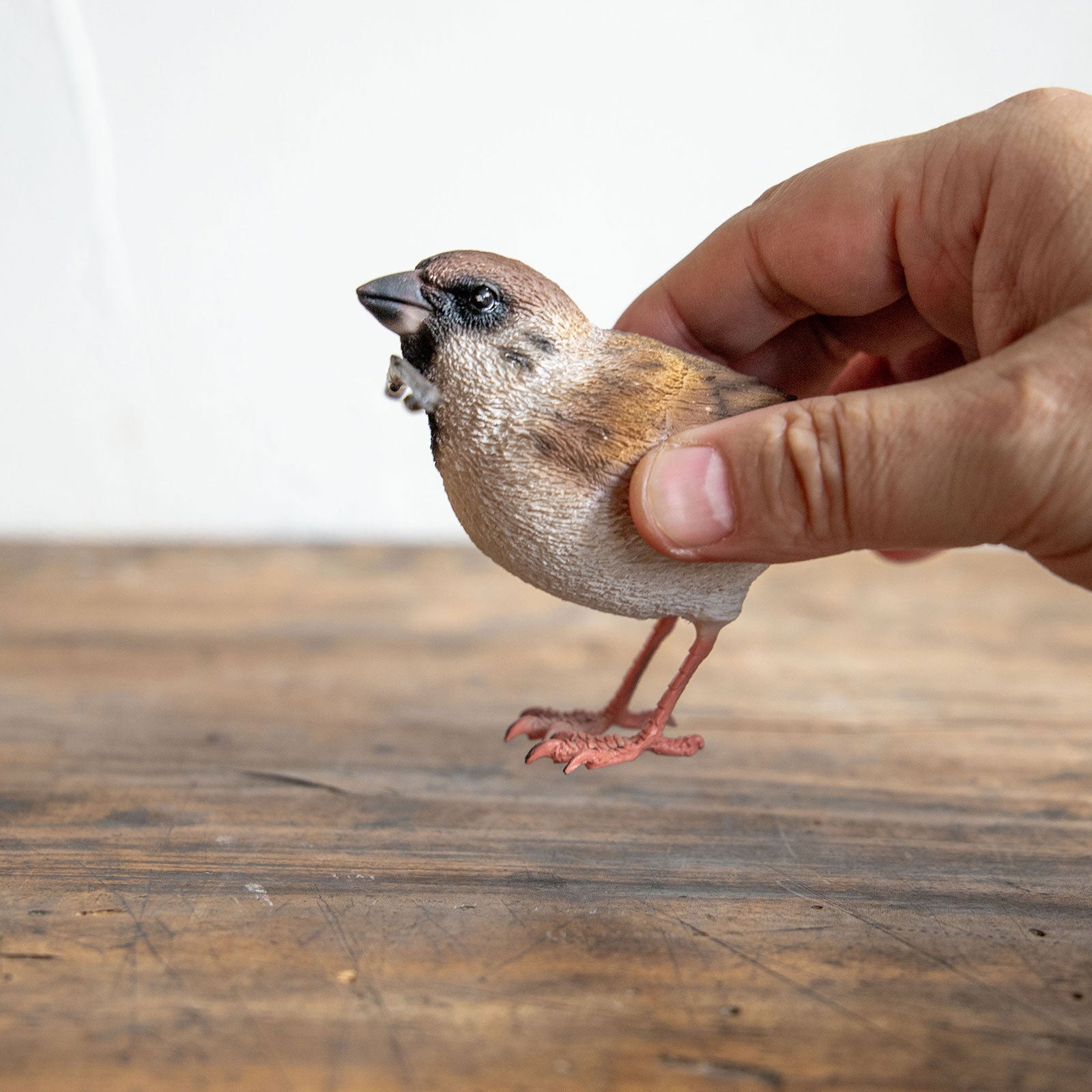 magnet / マグネット　マグネット スズメ