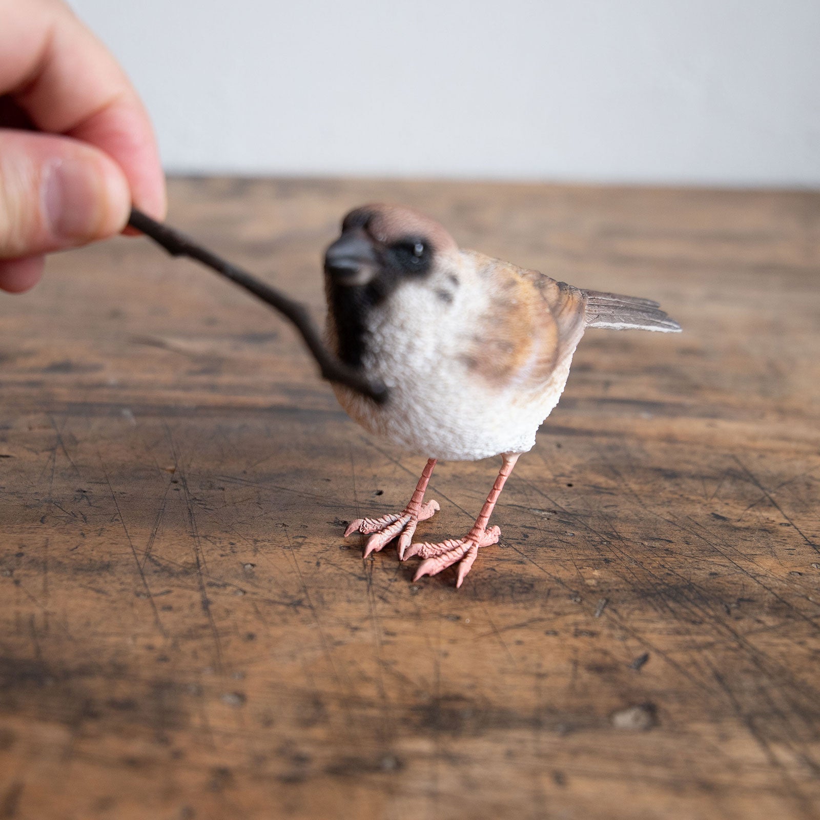 magnet / マグネット　マグネット スズメ