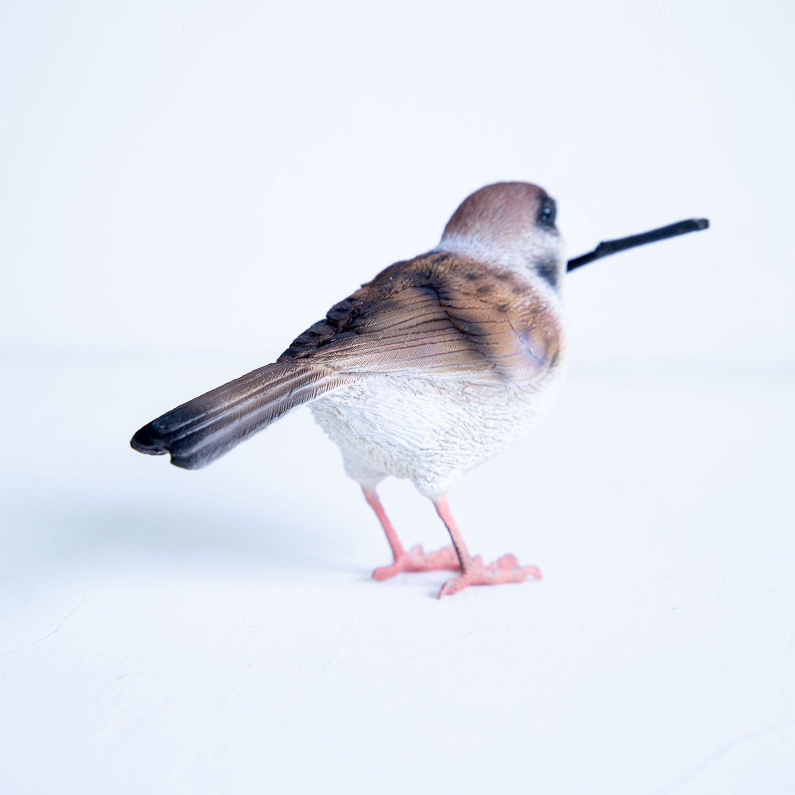 magnet / マグネット　マグネット スズメ