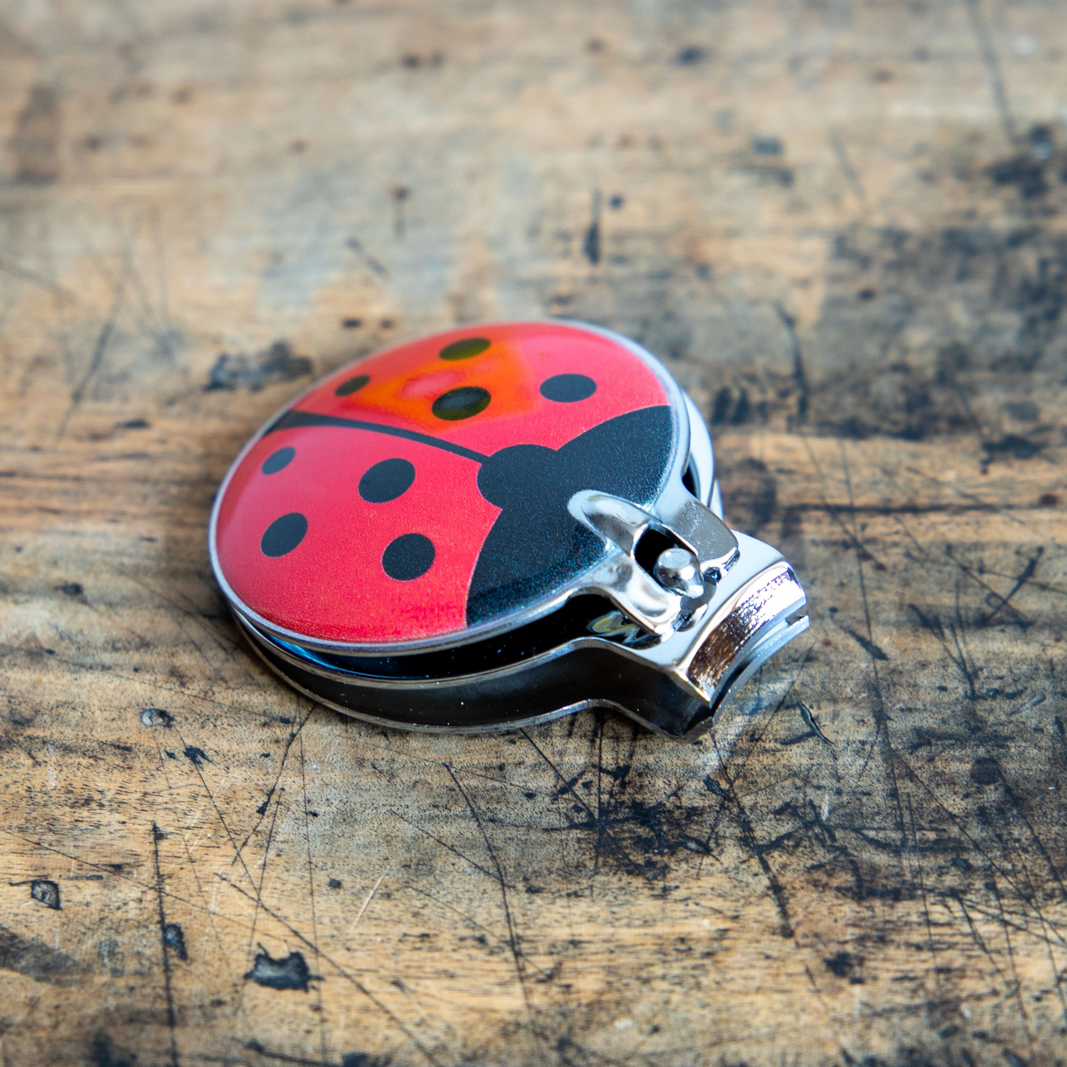 tentomushi002.jpg?v=1746760043