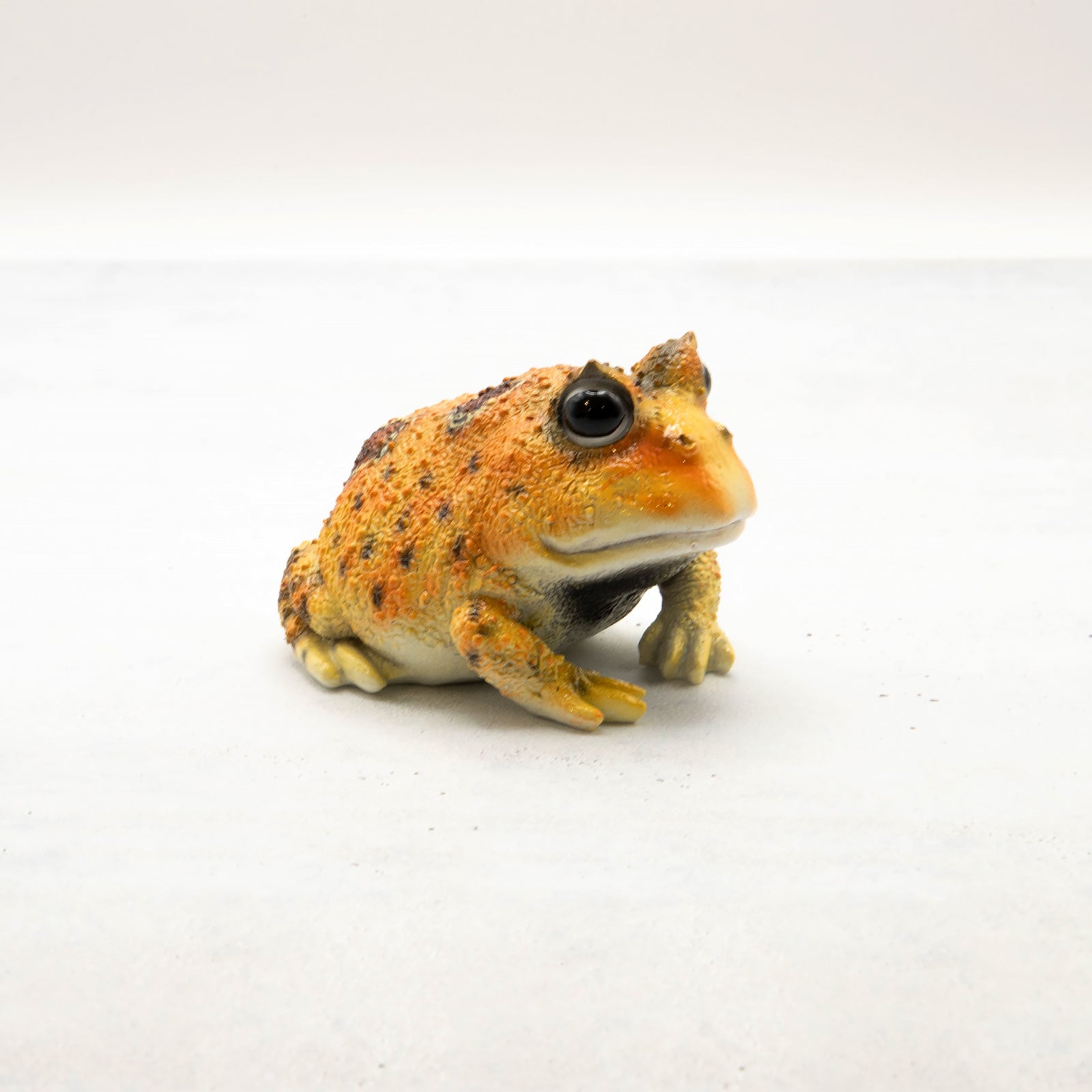 magnet / マグネット　マグネット ツノガエル