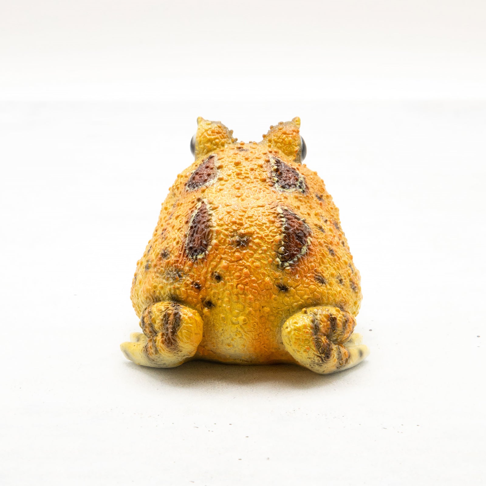 magnet / マグネット　マグネット ツノガエル