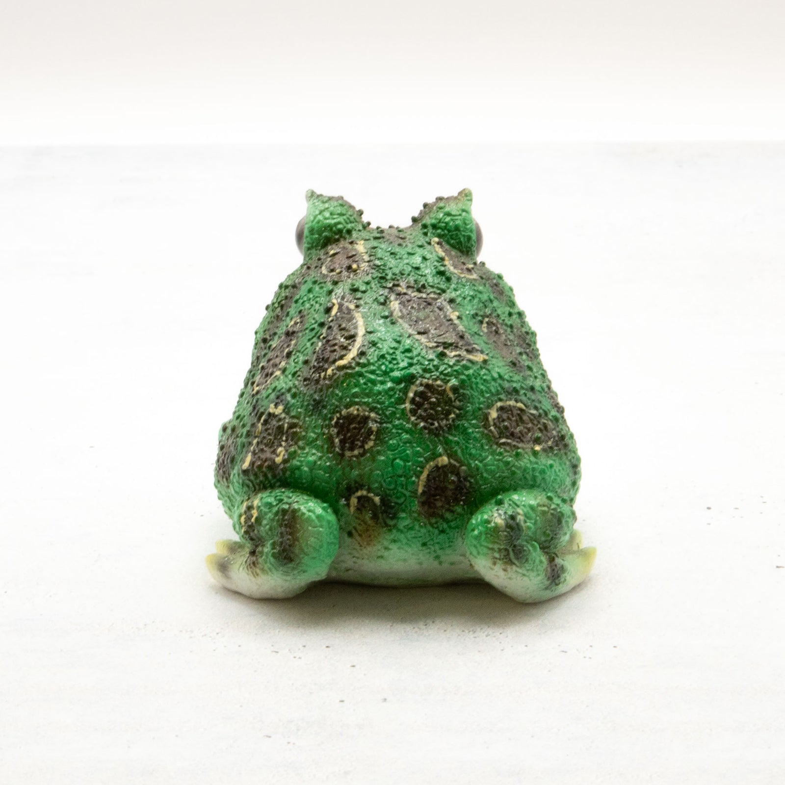 magnet / マグネット　マグネット ツノガエル