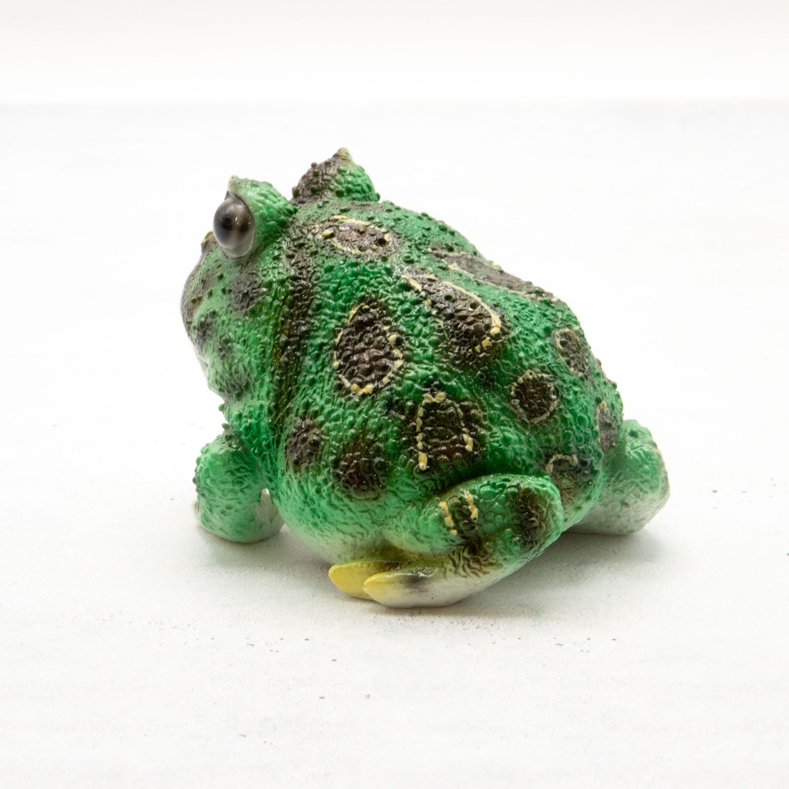 magnet / マグネット　マグネット ツノガエル