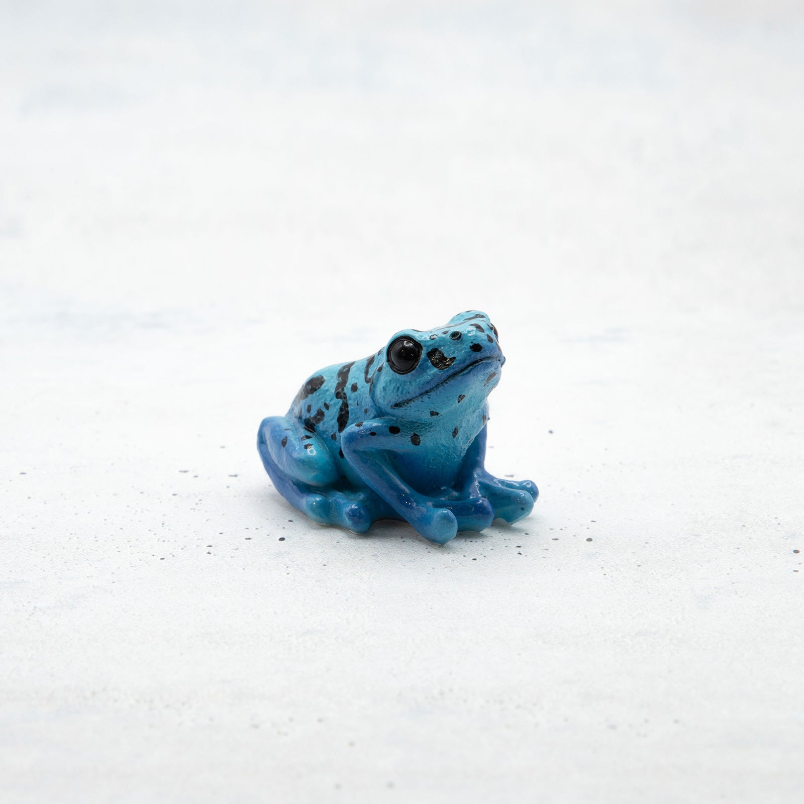 ブルマァク　ケンドロス青　美品 magnet / マグネット マグネット ヤドクガエル（青） – ニコノマニマニ