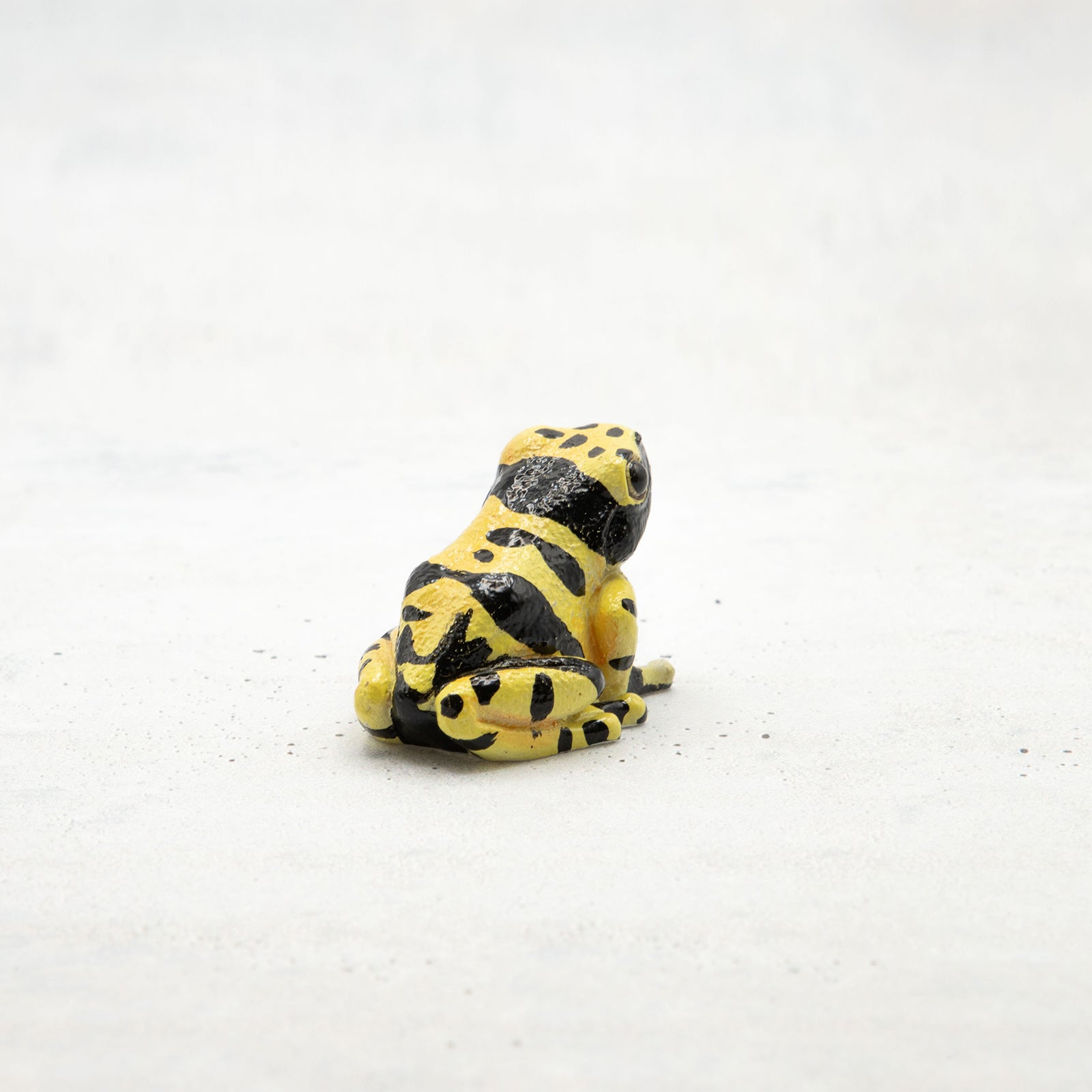 magnet / マグネット　マグネット ヤドクガエル（黄）