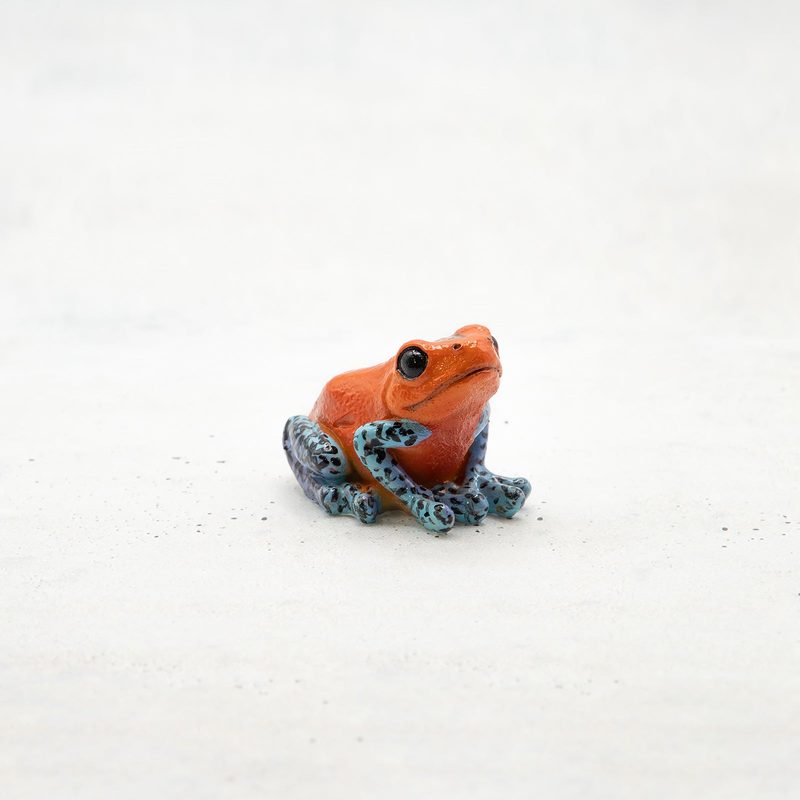 magnet / マグネット　マグネット ヤドクガエル（赤）