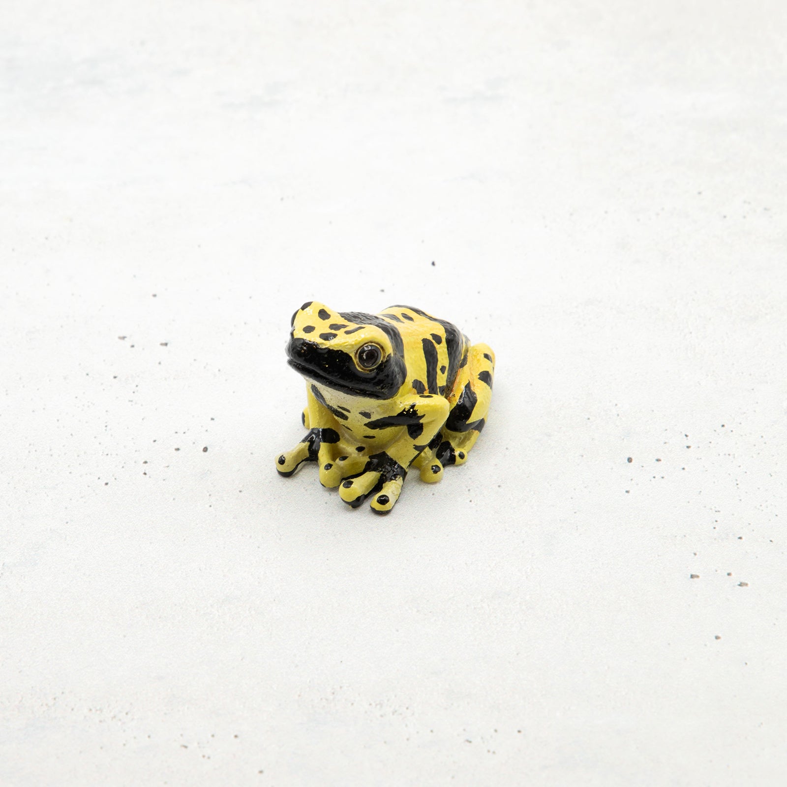 magnet / マグネット　マグネット ヤドクガエル（黄）