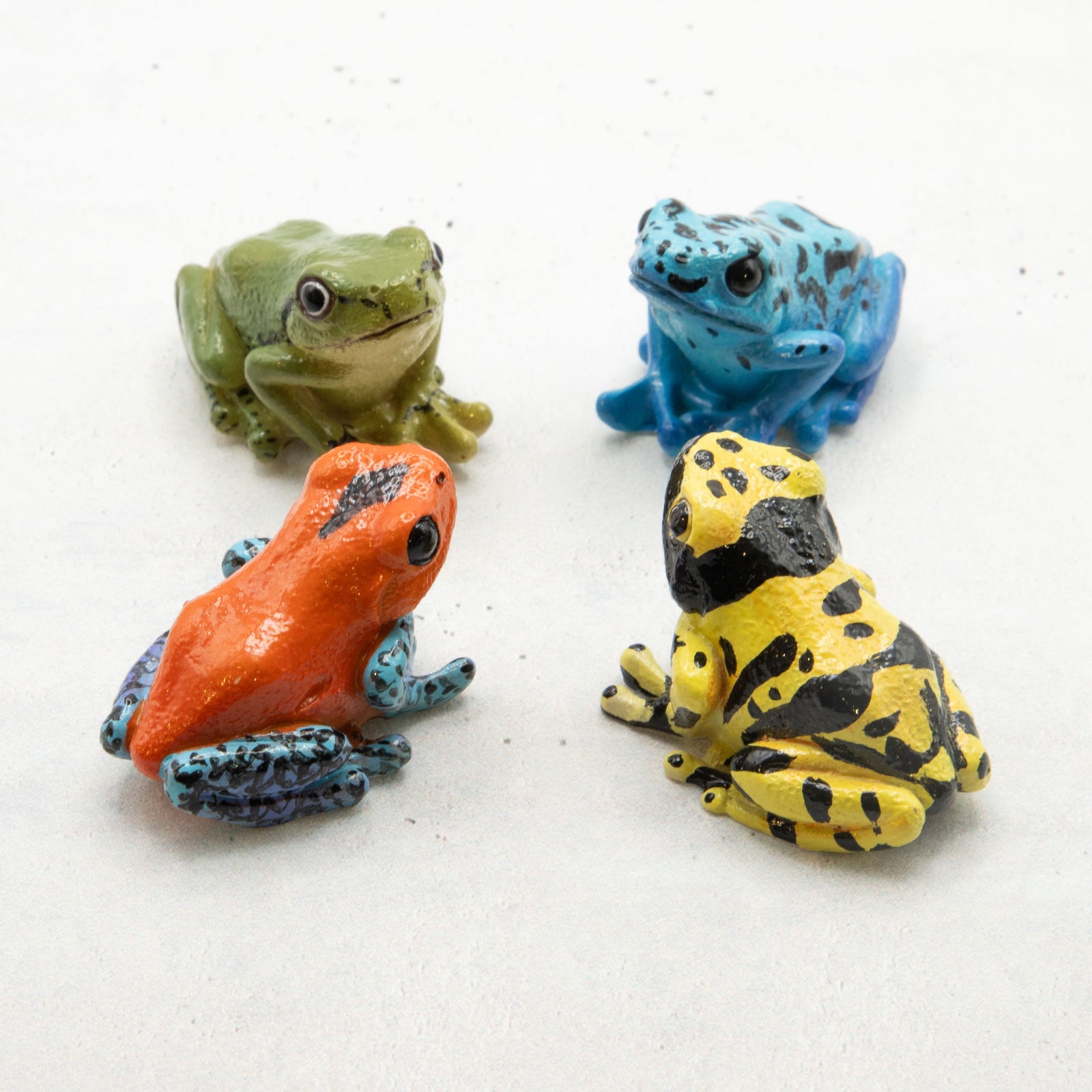 magnet / マグネット　マグネット ヤドクガエル（赤）