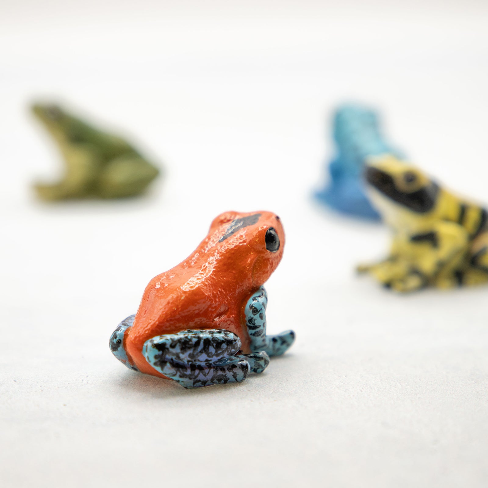 magnet / マグネット マグネット ヤドクガエル（赤） – ニコノマニマニ