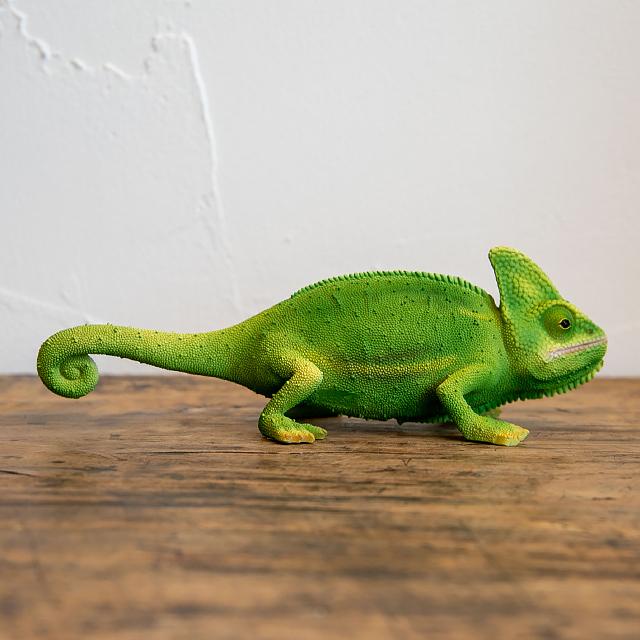 magnet / マグネット　貯金箱 カメレオン