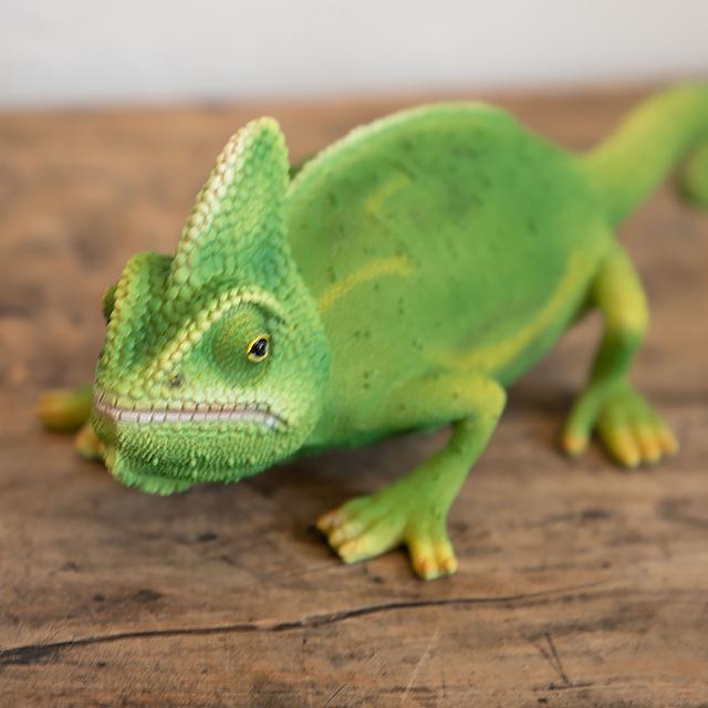 magnet / マグネット　貯金箱 カメレオン