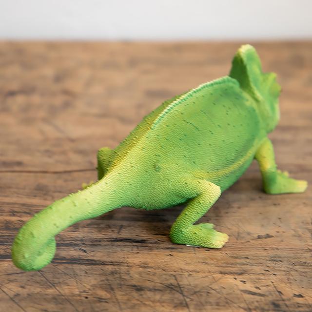 magnet / マグネット　貯金箱 カメレオン