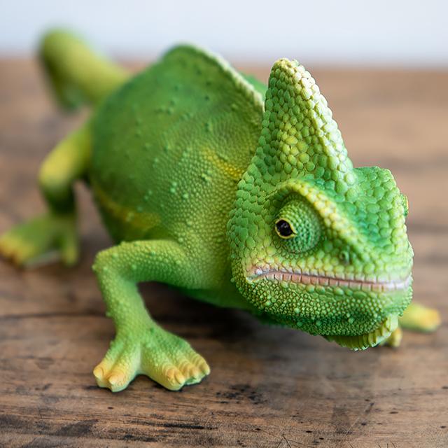 magnet / マグネット　貯金箱 カメレオン