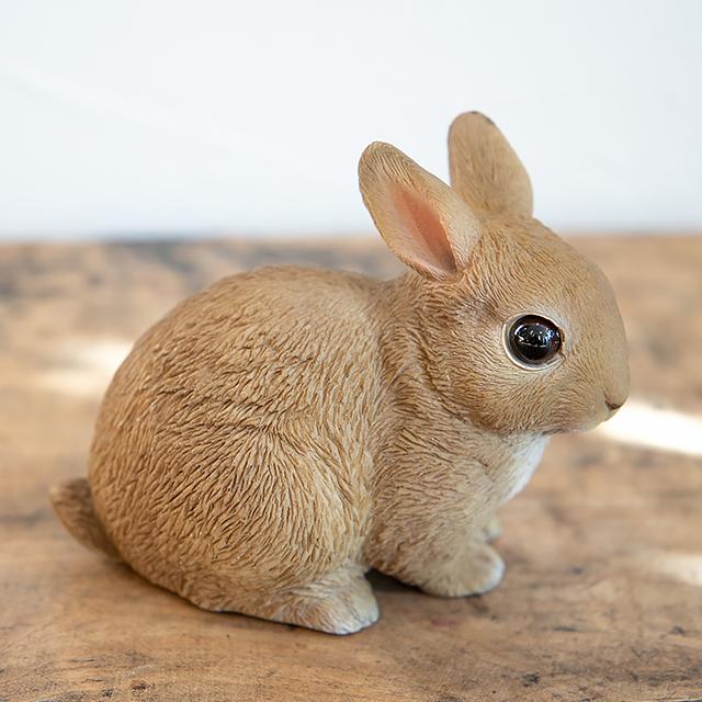 magnet / マグネット　貯金箱 ラビット